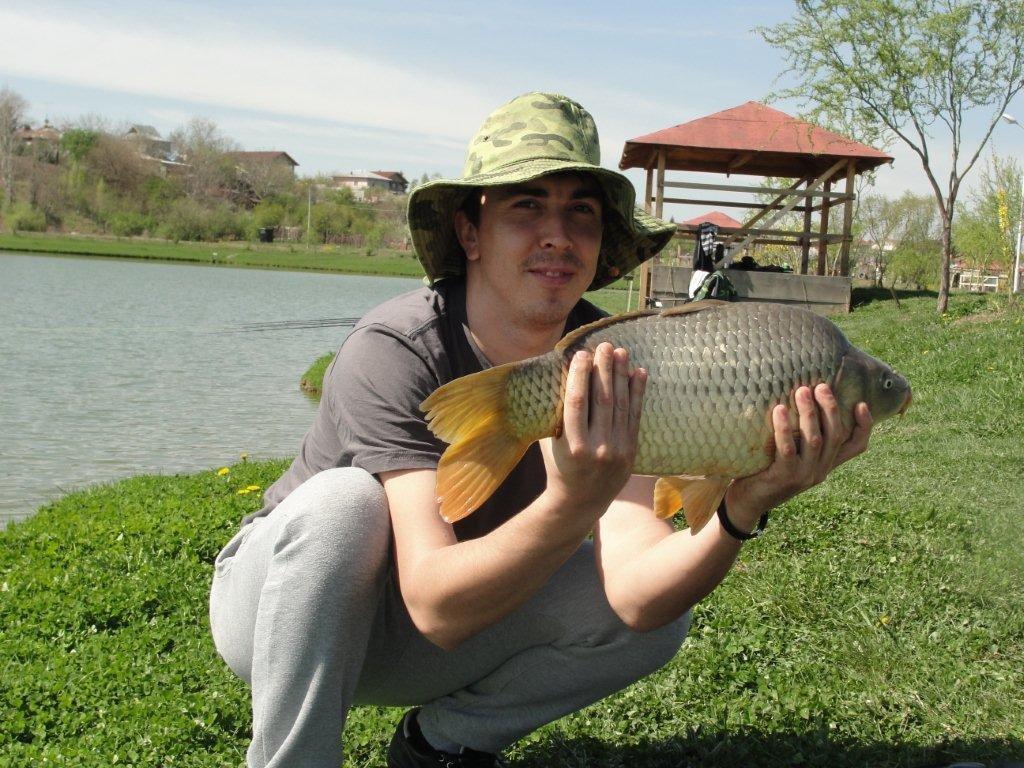 peanut - dsc03655.jpg